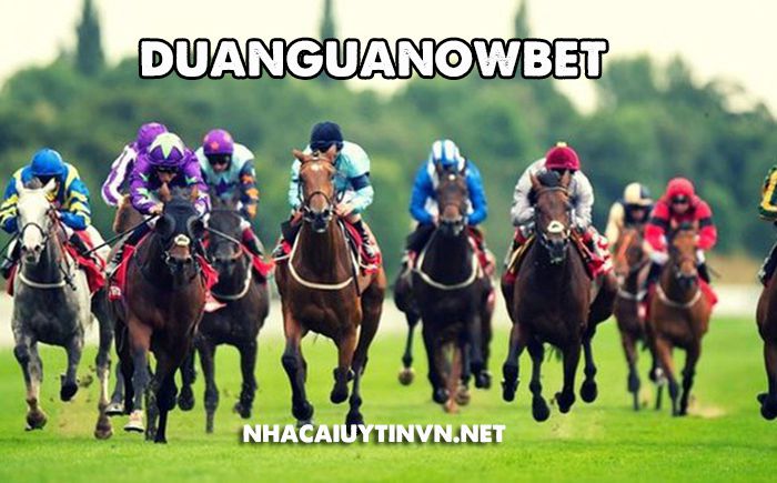 Duanguanowbet-1
