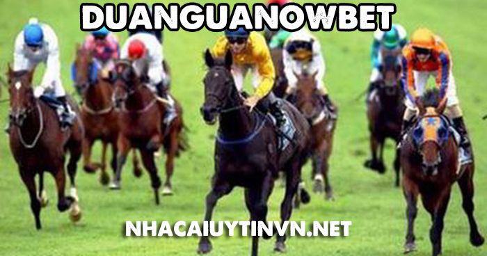 Duanguanowbet-2